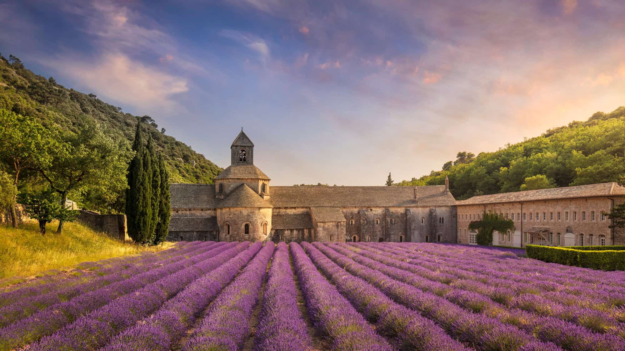 A serene view of Sénanque Abbey nestled between hills in Provence, fronted by neatly lined rows of blooming purple lavender under a glowing twilight sky.