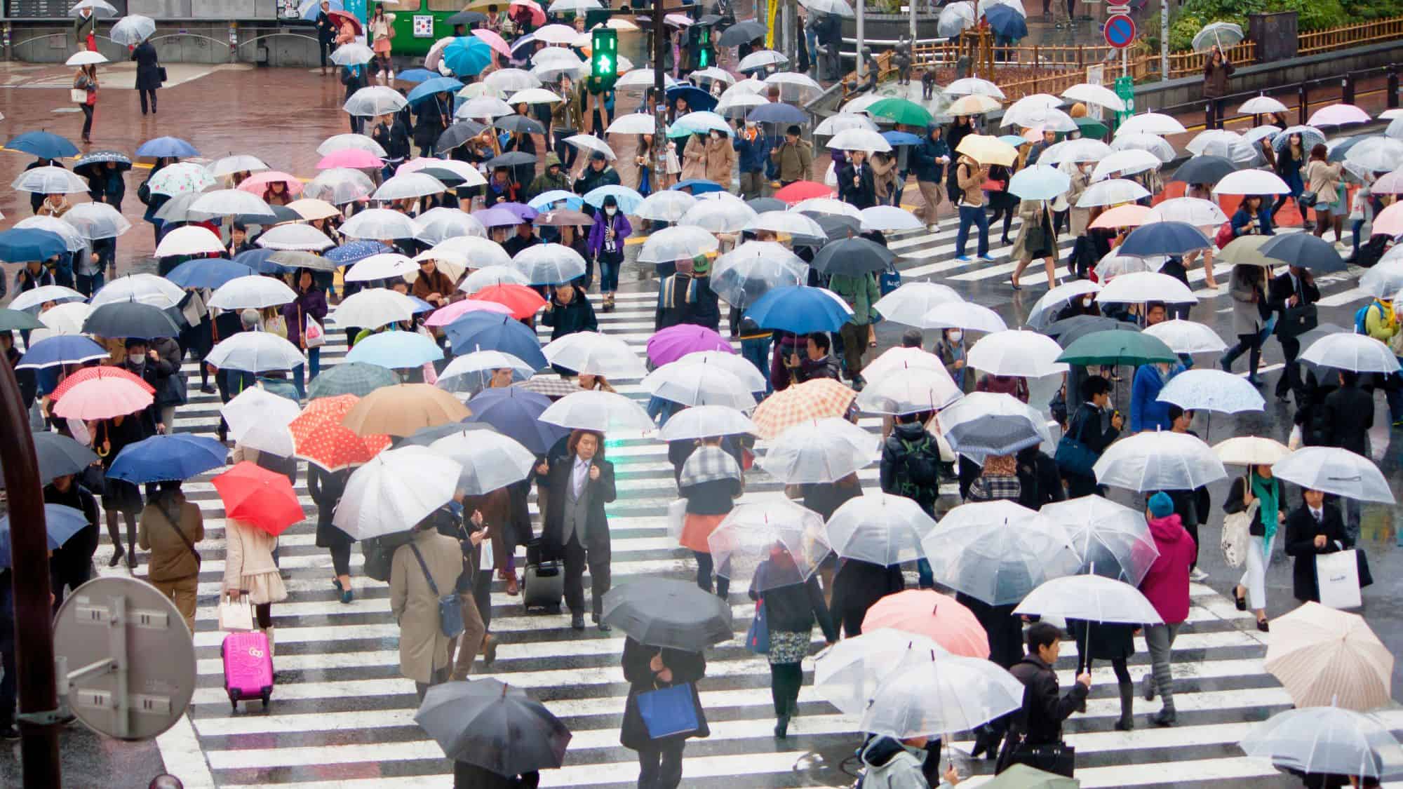 A sea of umbrellas of every color fills Tokyo’s Shibuya Crossing as pedestrians move in all directions on a rainy day, capturing the organized chaos of one of the world’s busiest intersections.