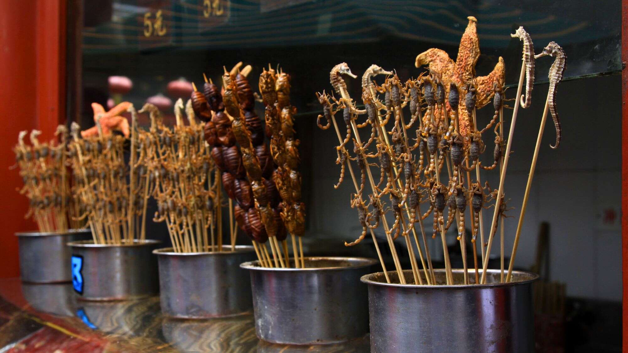 Close-up of exotic skewers displayed at Wangfujing Snack Street in Beijing, featuring seahorses, scorpions, starfish, and beetles in metal containers ready for grilling.