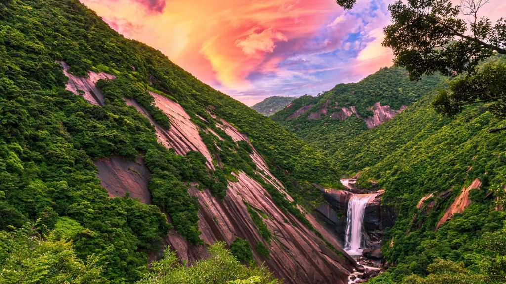 A waterfall plunges into a rocky gorge surrounded by lush, green rainforest and steep cliffs on Yakushima Island, with a vibrant pink-orange sunset sky above.