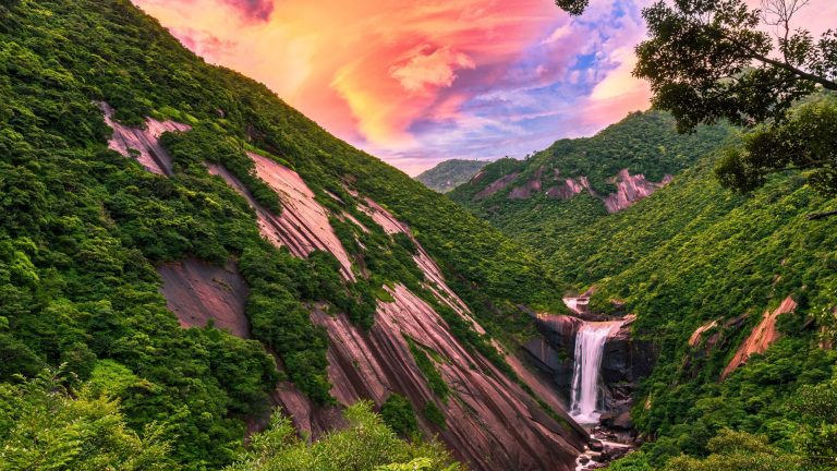 A waterfall plunges into a rocky gorge surrounded by lush, green rainforest and steep cliffs on Yakushima Island, with a vibrant pink-orange sunset sky above.