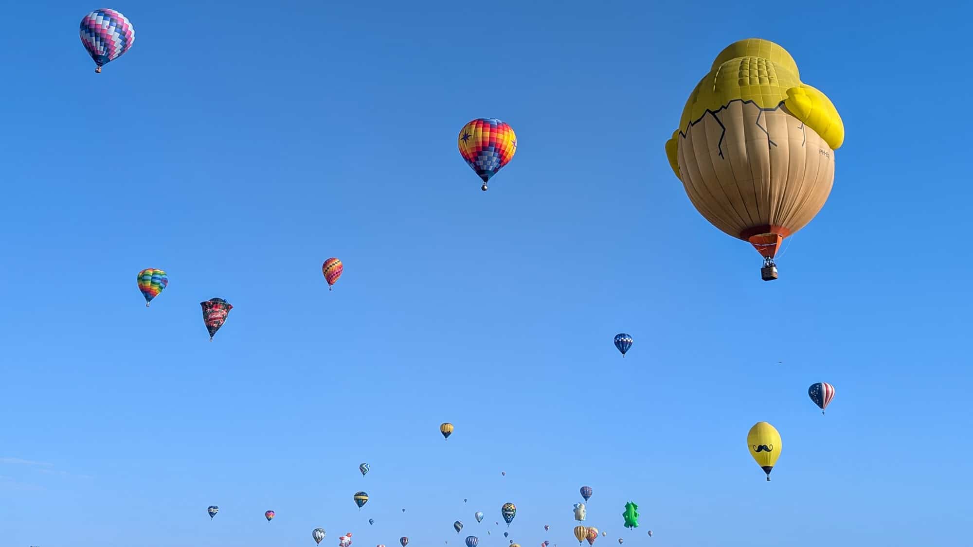 Hot air balloons filling a blue sky including one shaped like a chick coming out of an egg shell at the albuquerque balloon fiesta. 