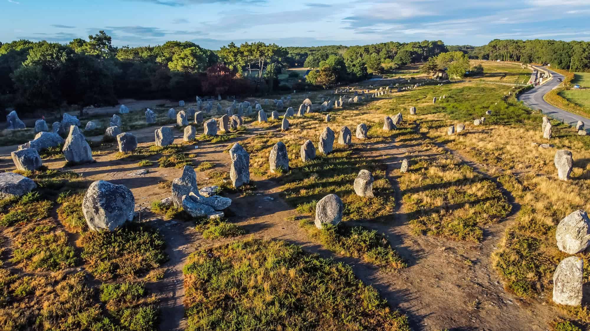 A sweeping view of the Carnac Stones in Brittany, France, showing rows of ancient standing stones scattered across grassy terrain under a clear blue sky, with forested edges in the distance.