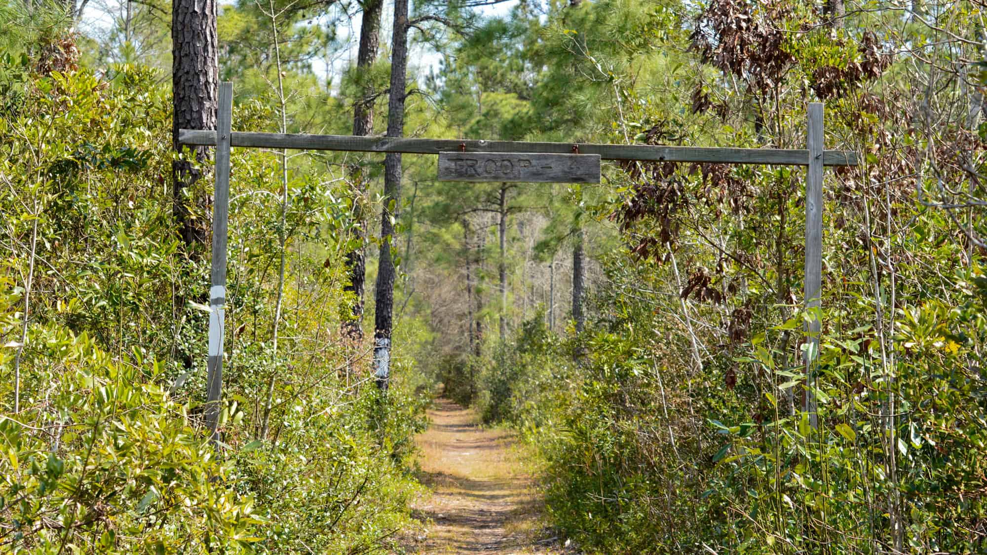 A narrow forest trail leads through dense pine and hardwood trees, marked by a rustic wooden sign overhead reading “TROOP 4,” suggesting a scout path or historic route.