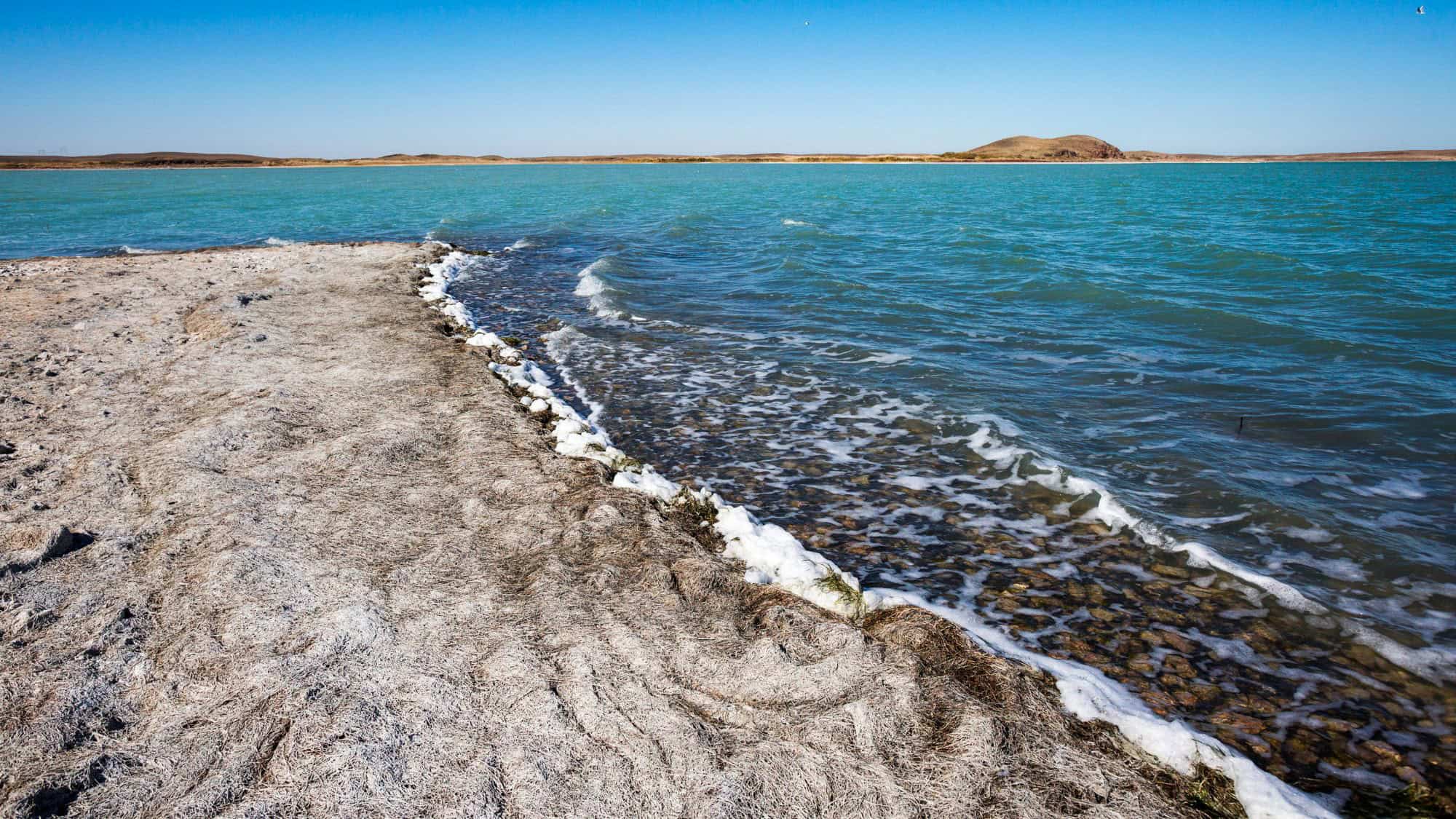 The salty, mineral-rich shoreline of Lake Alakol in Kazakhstan meets turquoise water under a bright blue sky, with low hills in the distance.