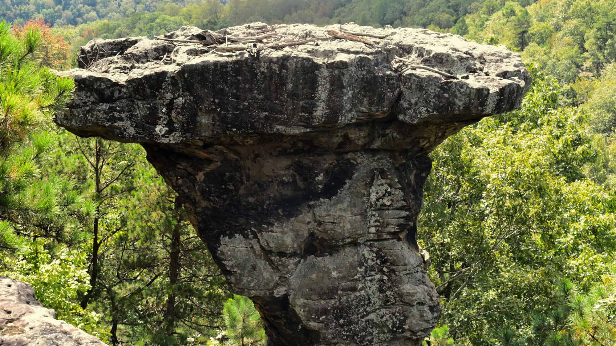 A massive, flat-topped rock formation juts out over the treetops like a natural pedestal, surrounded by lush green forest under a bright sky.