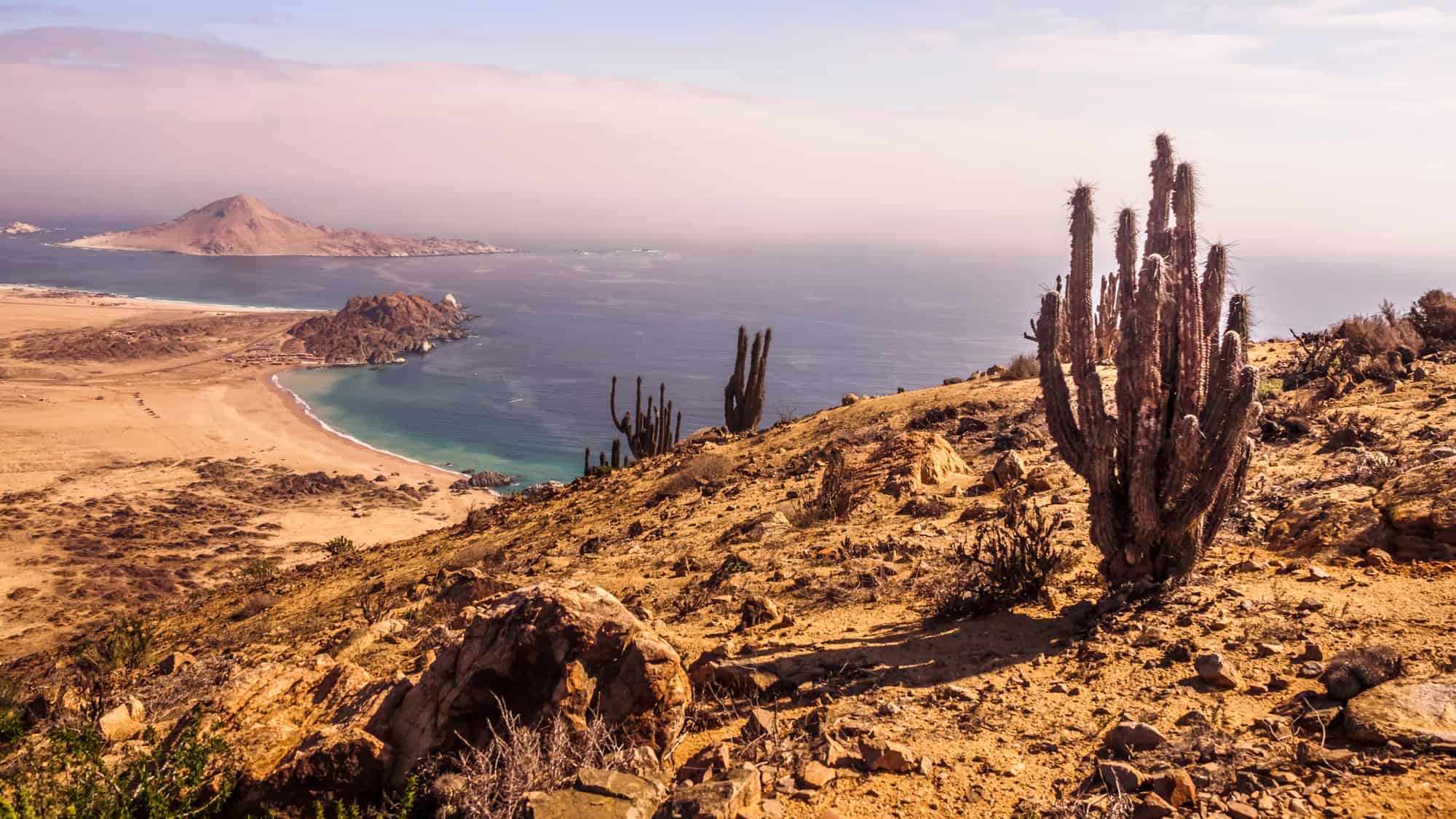 Cacti dot a dry, rocky hillside that slopes down toward a secluded beach and turquoise bay, with rugged islands and desert cliffs visible in the hazy coastal distance.