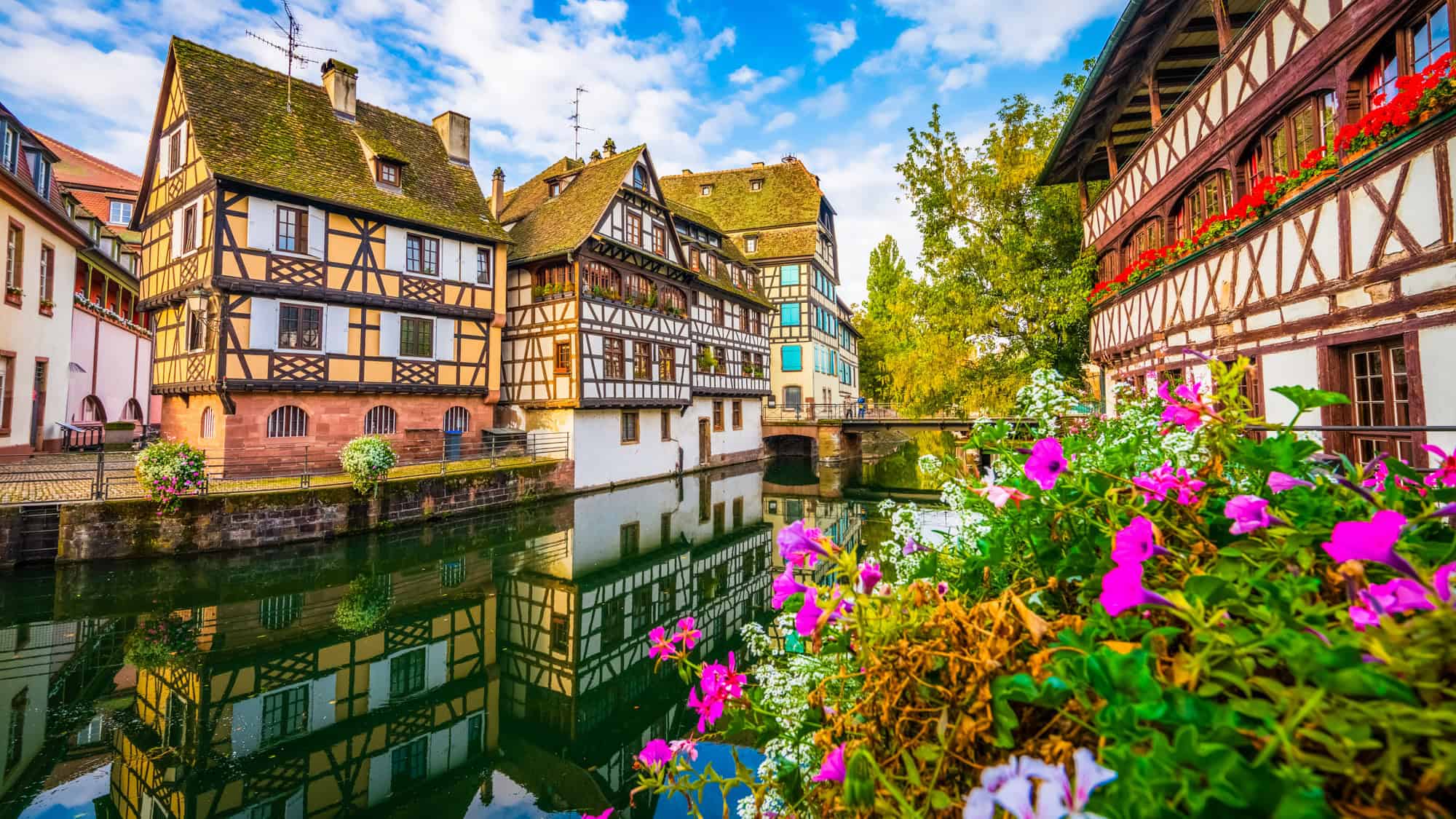 Traditional timber-framed houses reflect on a quiet canal in Strasbourg’s historic district, with pink flowers in the foreground and a bridge crossing to the quaint, storybook buildings.