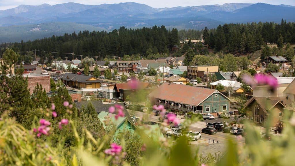 An elevated view of downtown Truckee framed by blooming pink wildflowers in the foreground, with colorful buildings, pine trees, and mountains in the distance.
