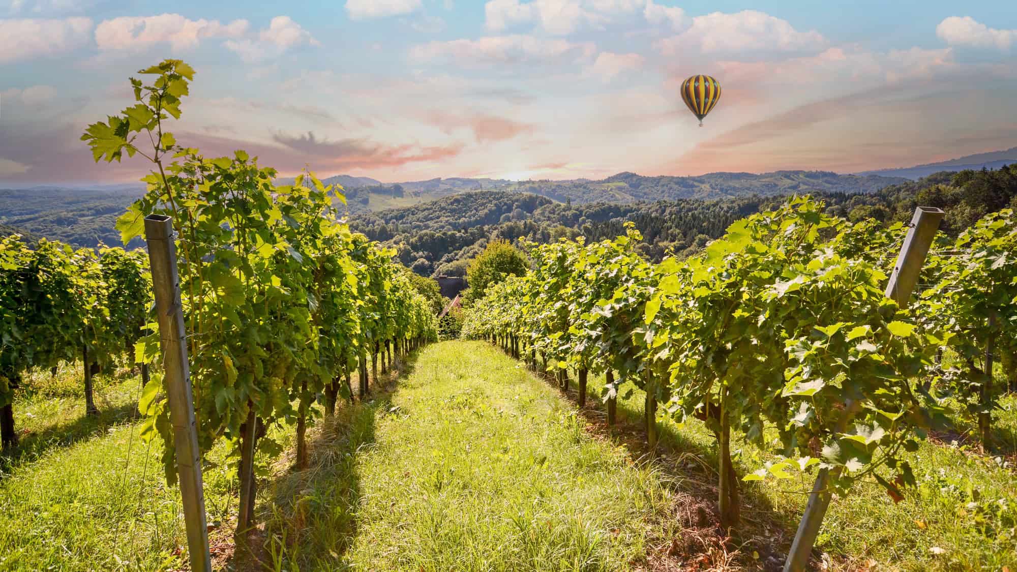 A hot air balloon drifts above rolling hills and lush green vineyards in Tuscany, Italy, with a pastel-colored sunrise sky casting warm light over the landscape.