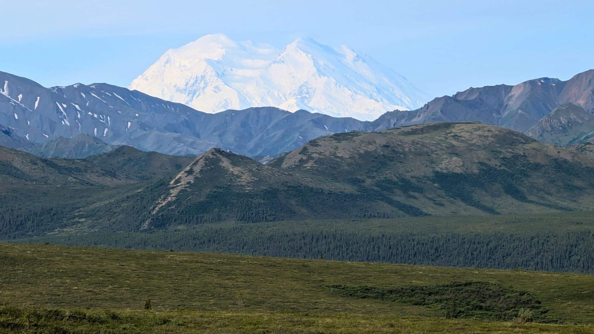 Snow-covered Mount McKinley towers in the background behind dark green forested foothills and sharp, rugged ridges under a clear blue sky.