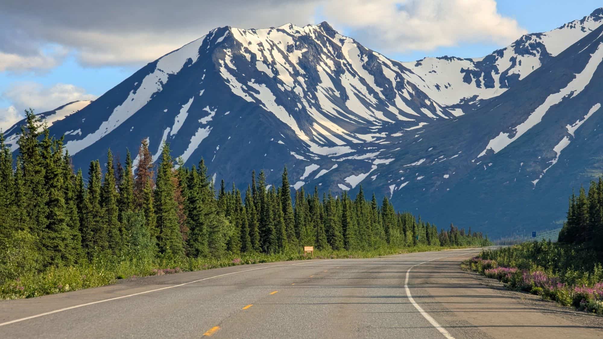 A quiet highway curves into the distance beneath dramatic snow-draped mountains, bordered by evergreen trees and dotted with purple wildflowers.