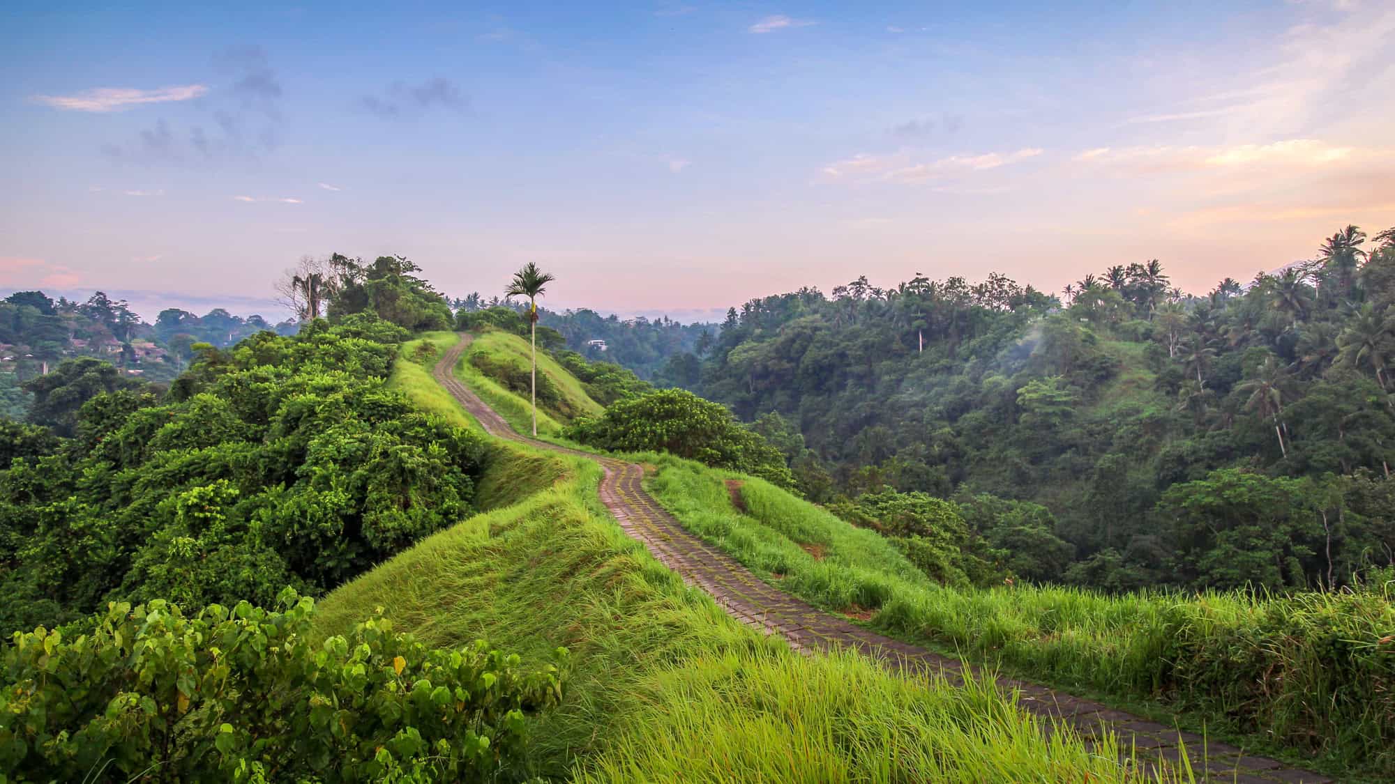 A winding paved path cuts through lush green hills surrounded by dense jungle in Bali, Indonesia, under a soft early morning sky with hues of pink and blue.