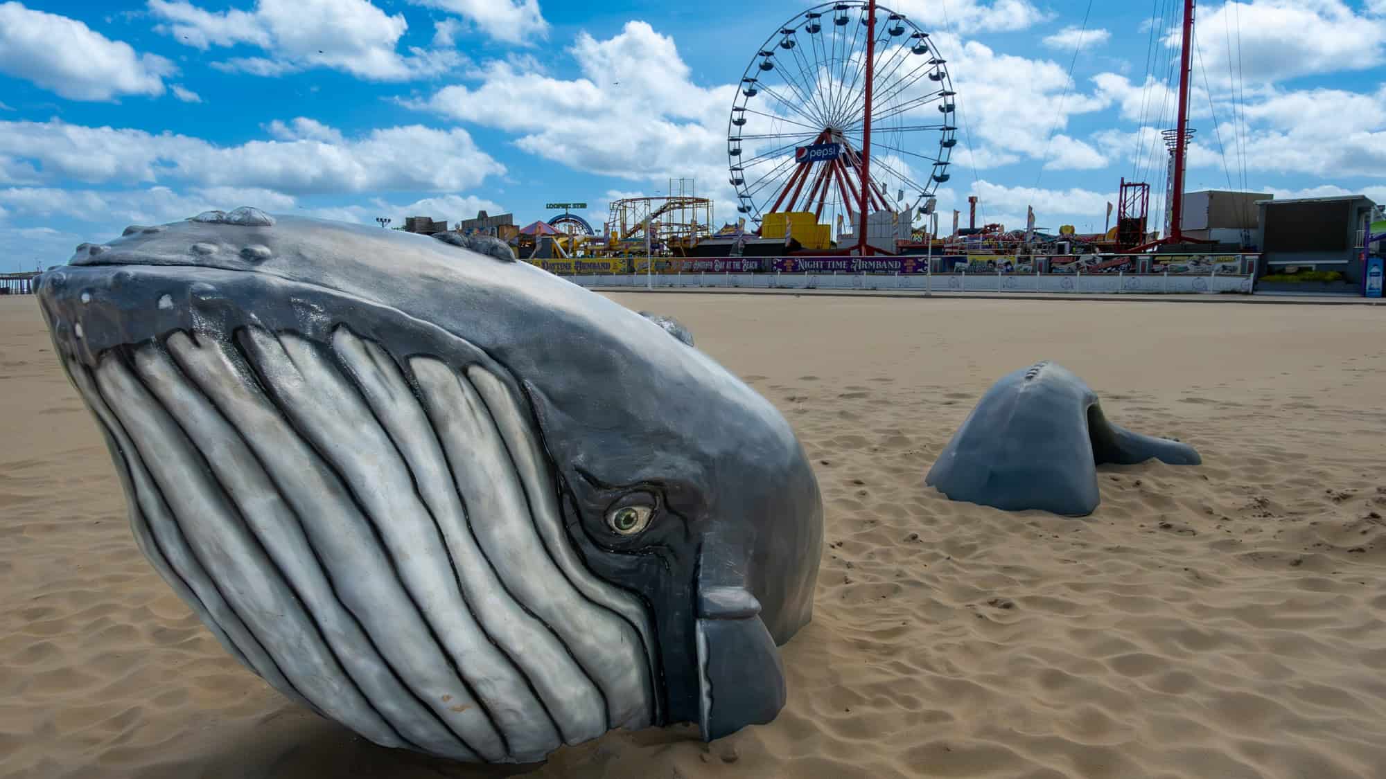 A playful sculpture of a whale emerging from the sand sits on a beach in front of a colorful amusement park and Ferris wheel near the boardwalk.