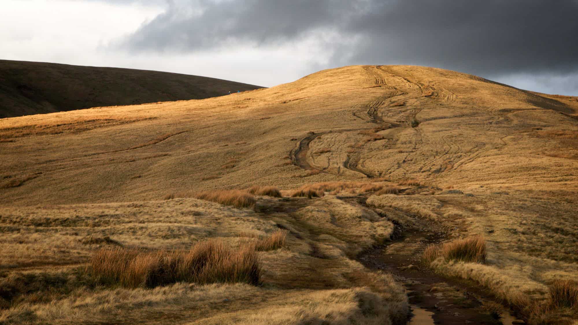 Golden-brown rolling hills of a British moorland stretch under a moody sky, with winding trails etched into the grassy landscape.