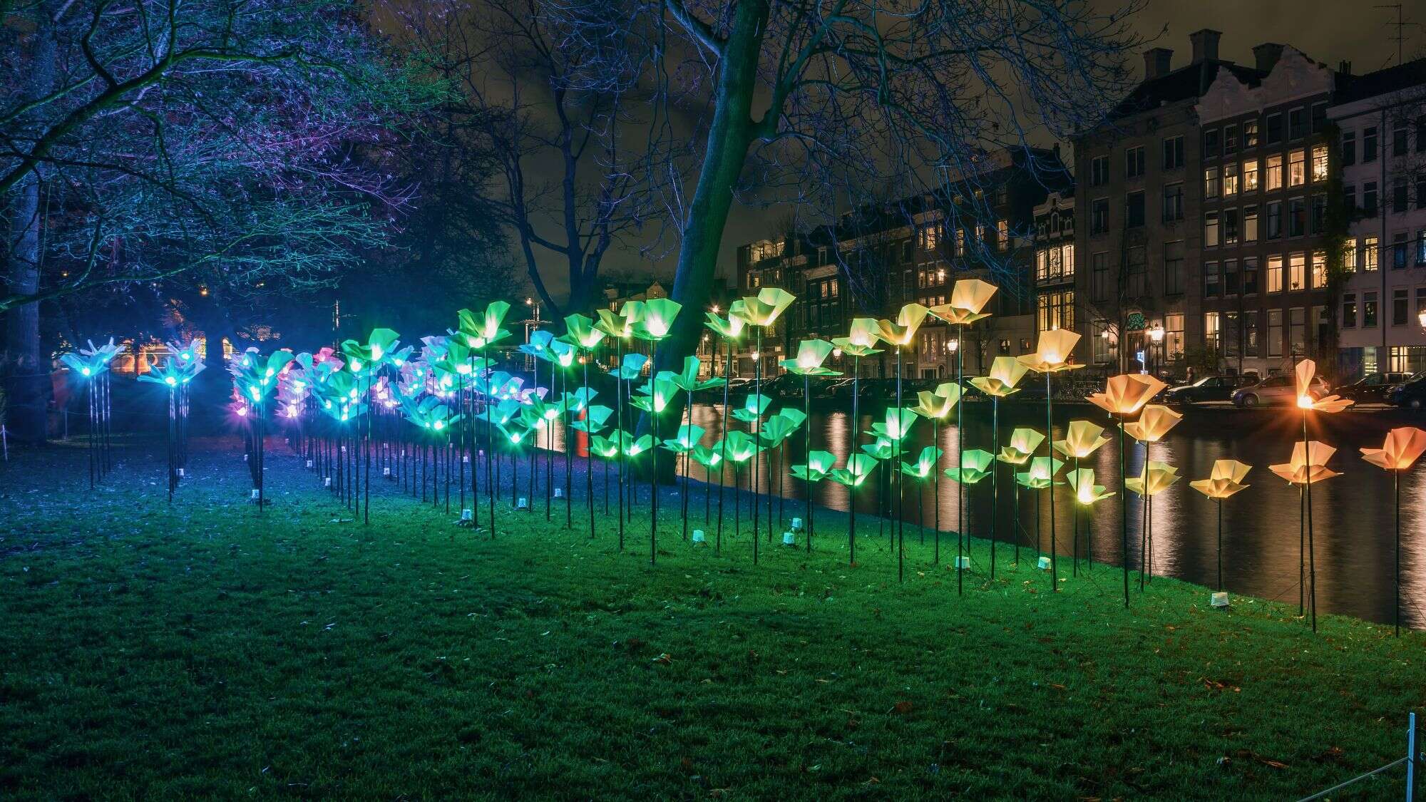 Illuminated flower-shaped light sculptures in shades of green, yellow, and blue line a grassy canal-side park at night.