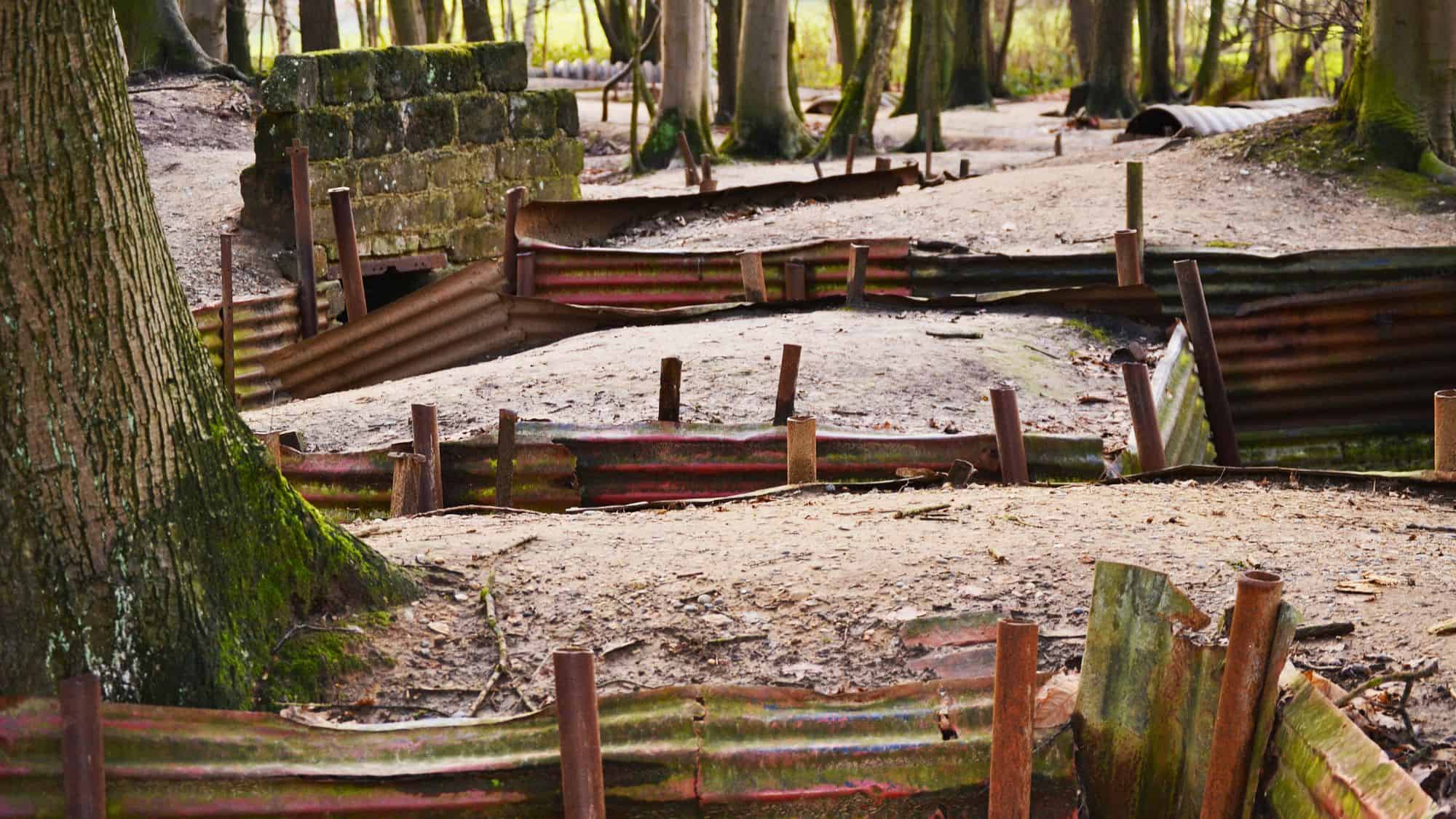 Preserved World War I trenches with rusted corrugated metal walls and moss-covered tree roots winding through a wooded battlefield site.