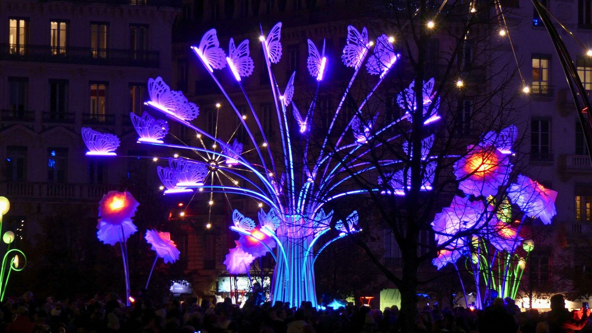 A glowing installation shaped like butterflies and flowers lights up the night, surrounded by a crowd in a city square.