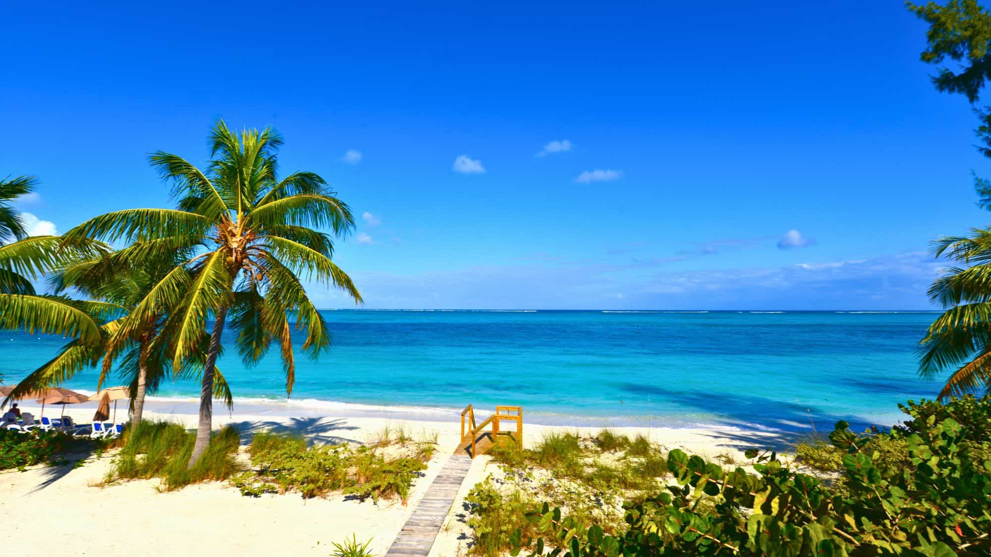 A wooden walkway leads through white sand and palm trees toward a turquoise ocean under a clear blue sky.