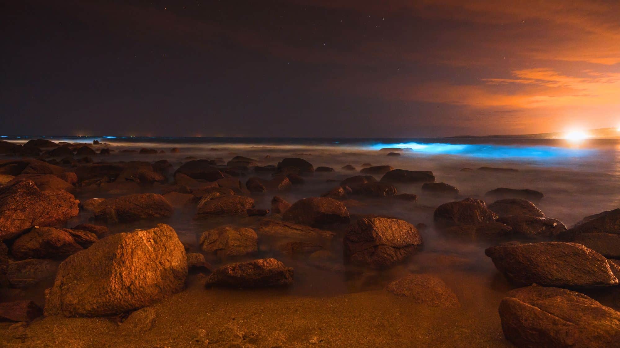 Bioluminescent waters glow electric blue beneath a starry sky along a rocky shoreline, with orange hues from distant lights casting a surreal ambiance.