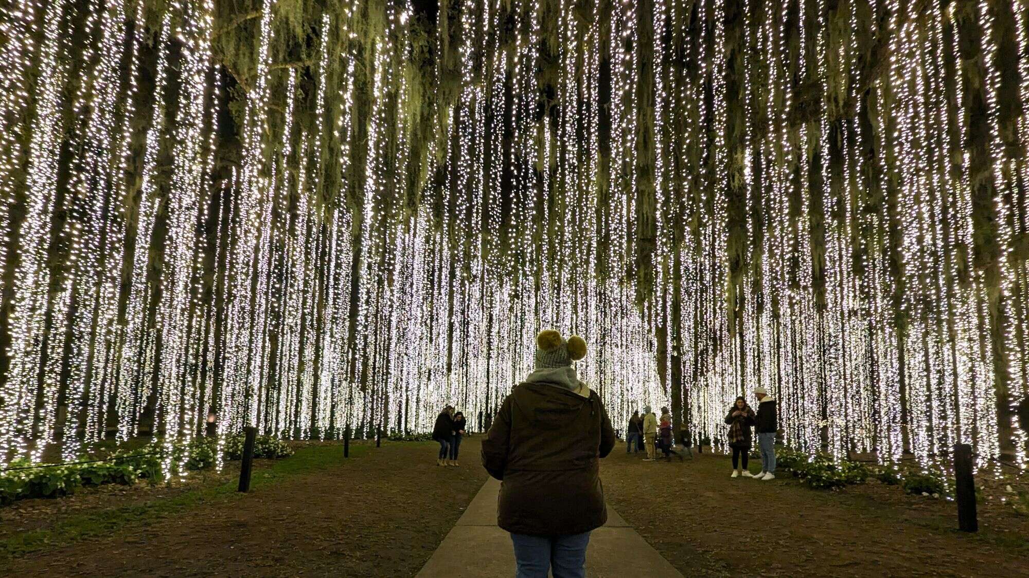 Visitors walk beneath thousands of cascading string lights that create the effect of a glowing, enchanted forest.