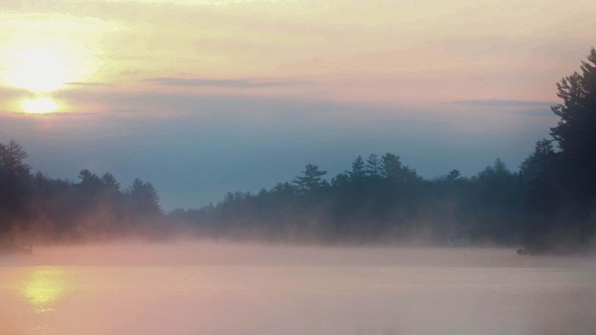 A soft pink and orange sunrise glows over a misty lake bordered by pine silhouettes, creating a peaceful and dreamy scene.