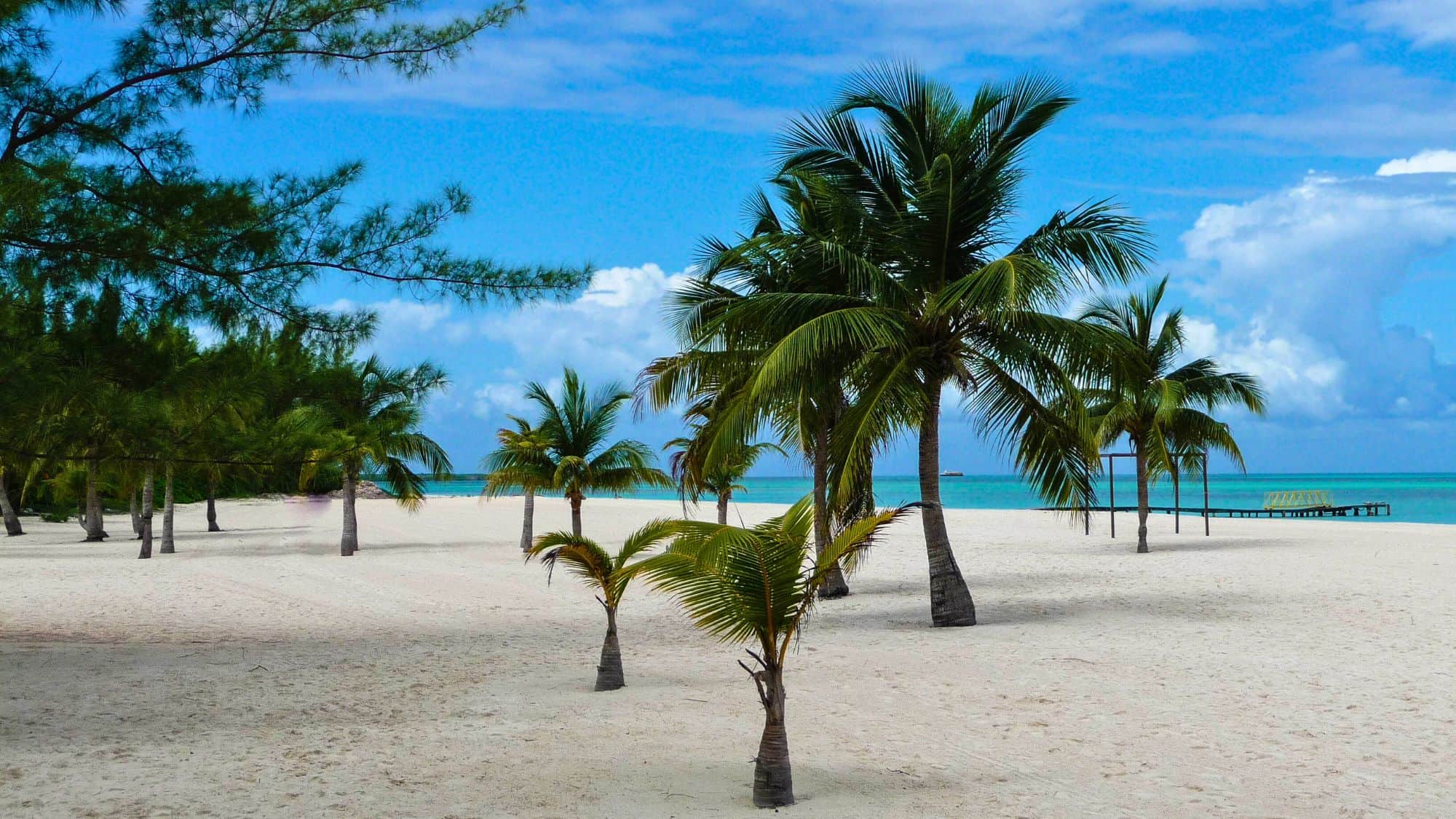 A wide stretch of white sand beach is dotted with palm trees beside the calm turquoise sea.