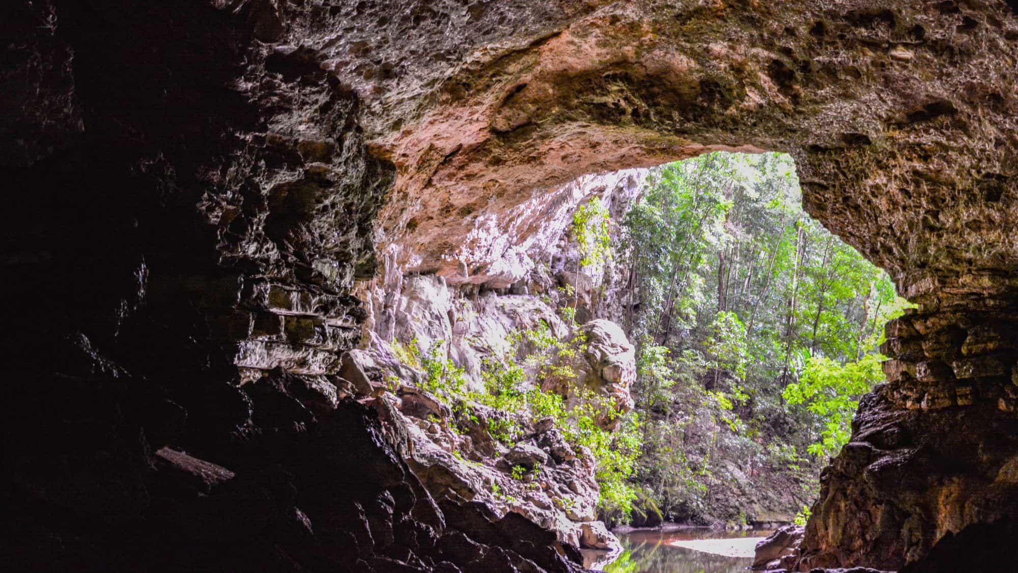 The rocky entrance of a massive cave opening to a sunlit forest beyond.