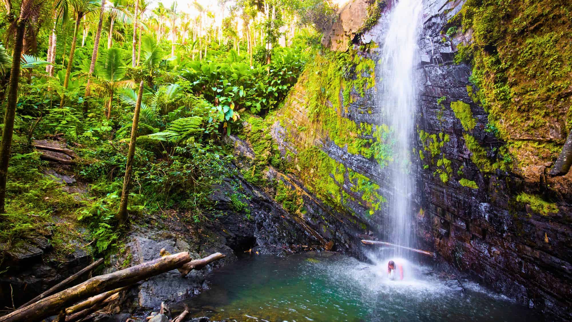 A person stands under a tall waterfall surrounded by dense tropical rainforest and mossy cliffs.