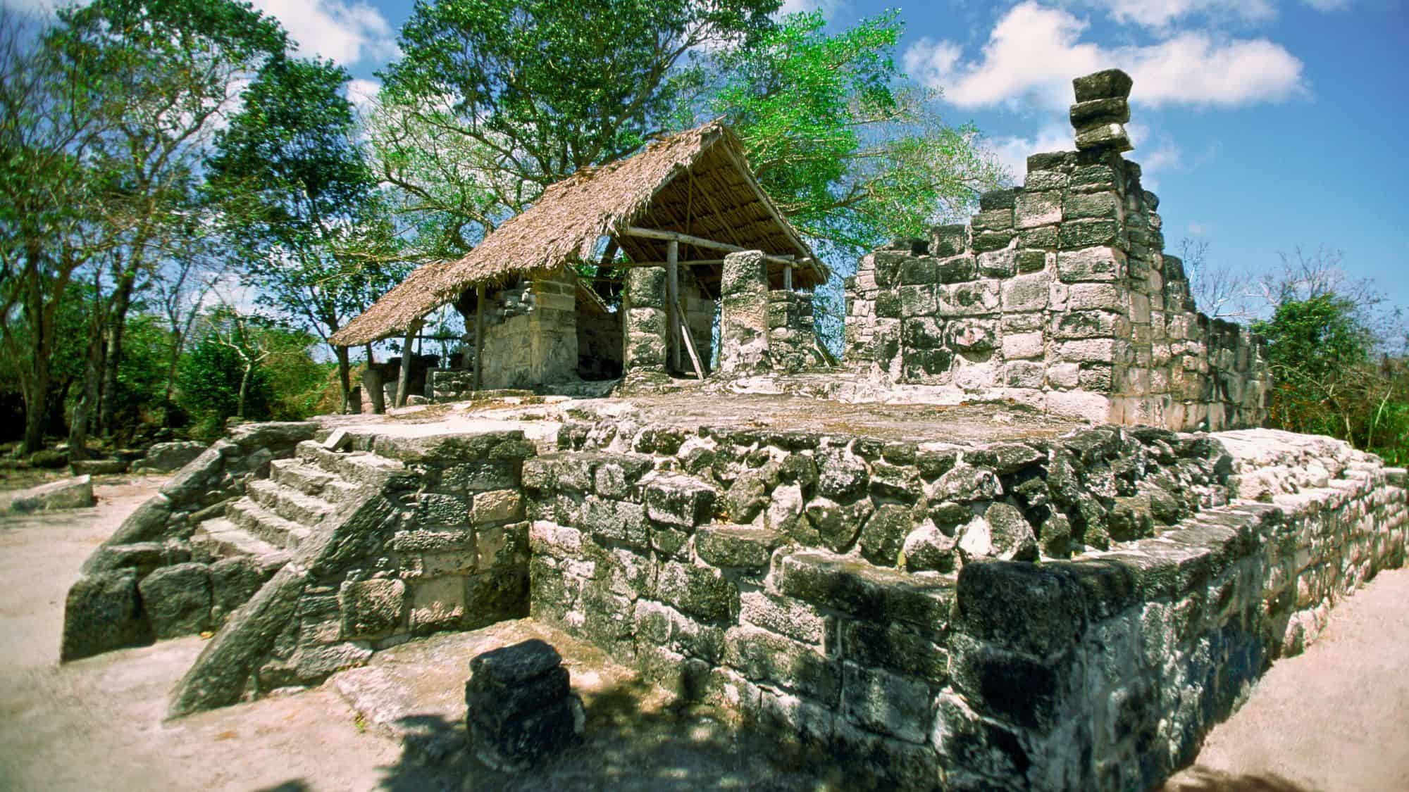 Ancient Mayan ruins with a thatched roof shelter sit among trees, with stone steps leading to the elevated platform.