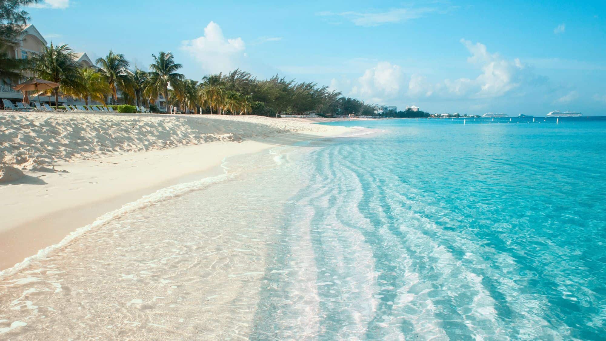 Clear turquoise waves gently lap the soft white sand along a lined stretch of palm trees and beachfront homes.