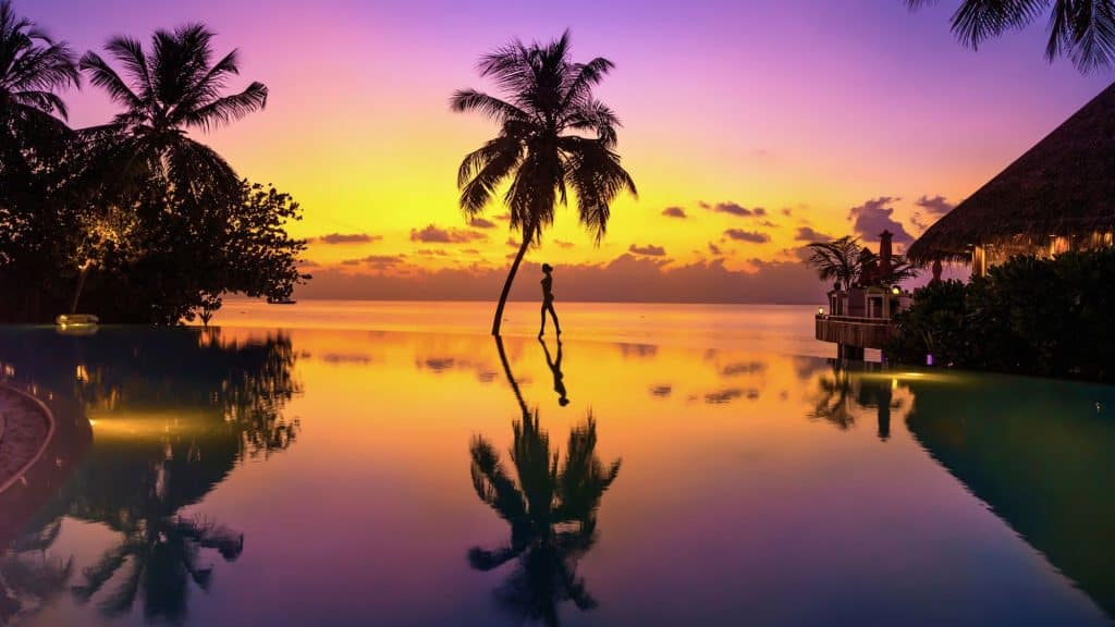A person walks past a leaning palm tree beside an infinity pool reflecting a vivid orange and purple sunset.