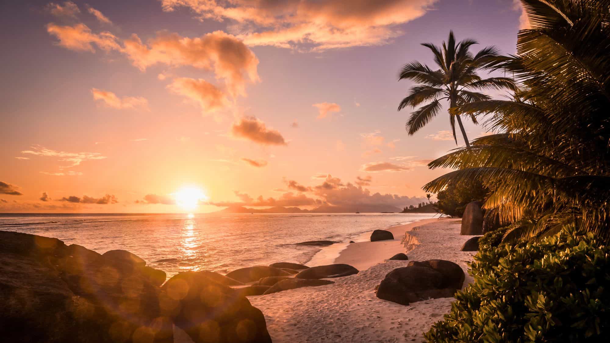 Palm trees and large rocks frame a glowing beach at sunset, with warm light spilling over the sand and sea.