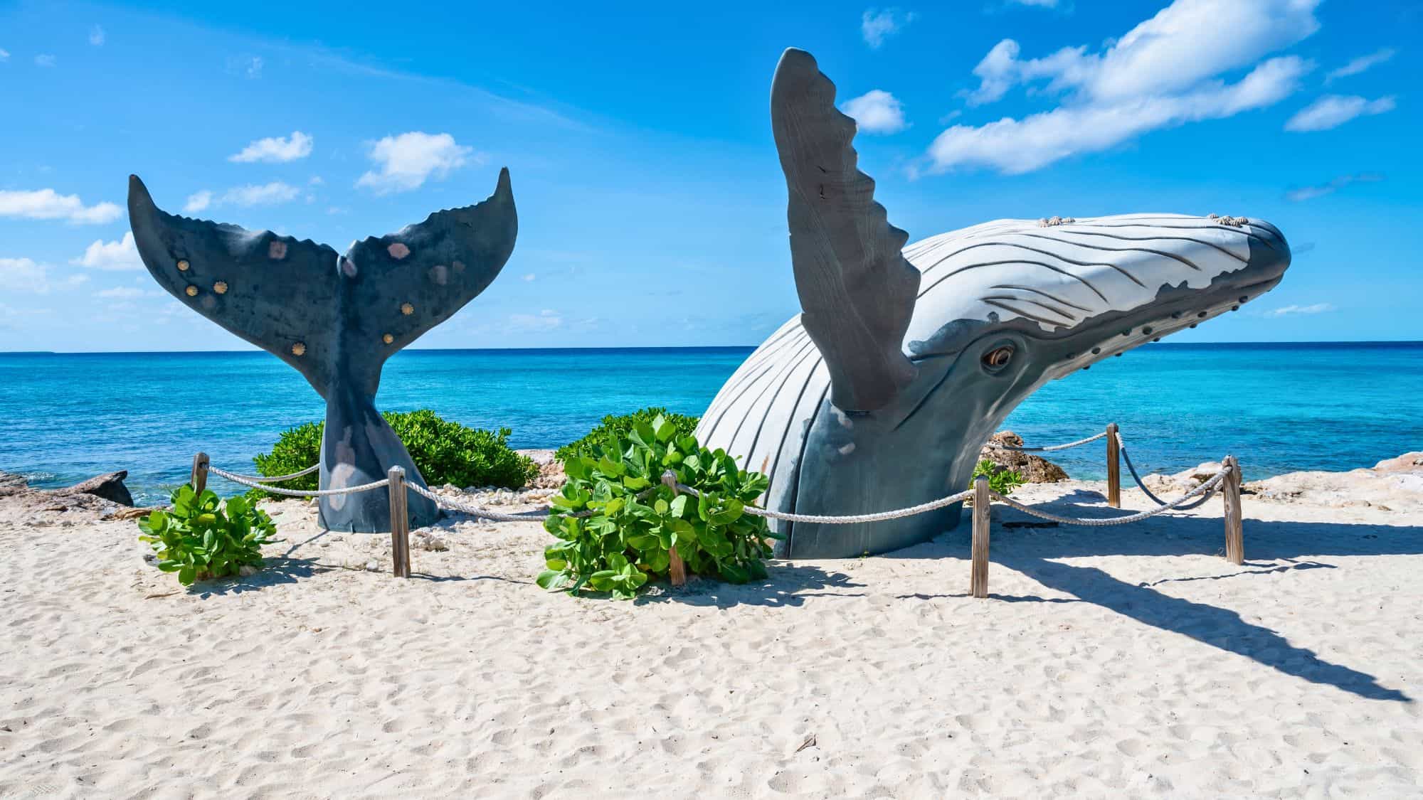 Large sculptures of a whale tail and head rise from the sand near a bright blue ocean backdrop.