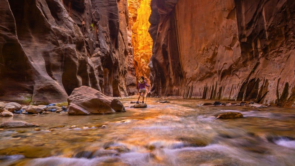 A hiker stands on a rock in the middle of a flowing river, gazing toward a sunlit golden section of the narrow canyon ahead.