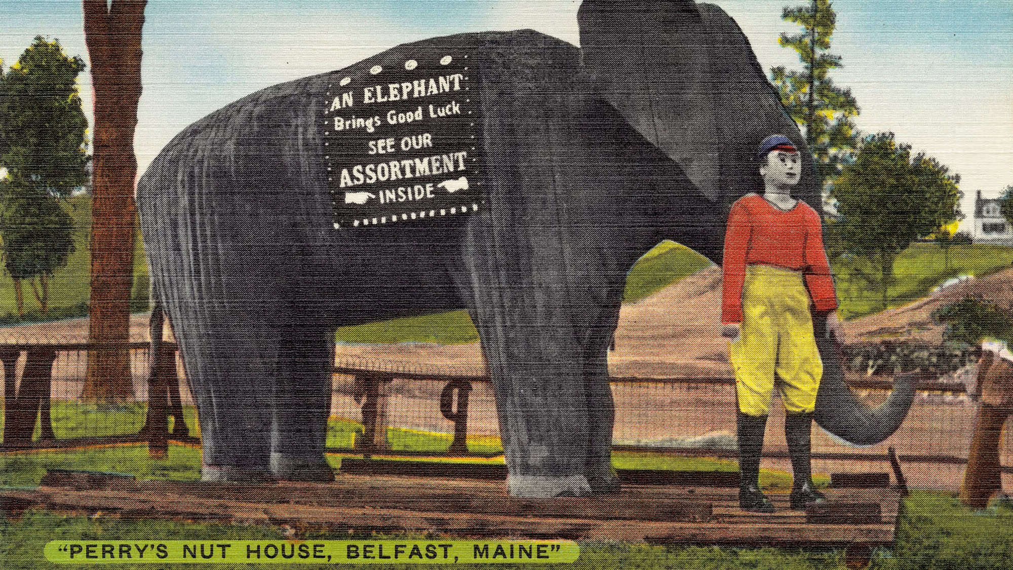 A vintage postcard shows a large gray elephant statue with a sign advertising Perry’s Nut House in Belfast, Maine, alongside a mannequin dressed in bright clothing.