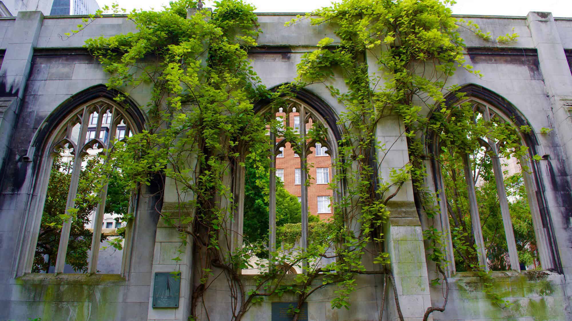 Gothic stone window arches of a ruined church are overgrown with ivy and greenery, framing a view of surrounding buildings.