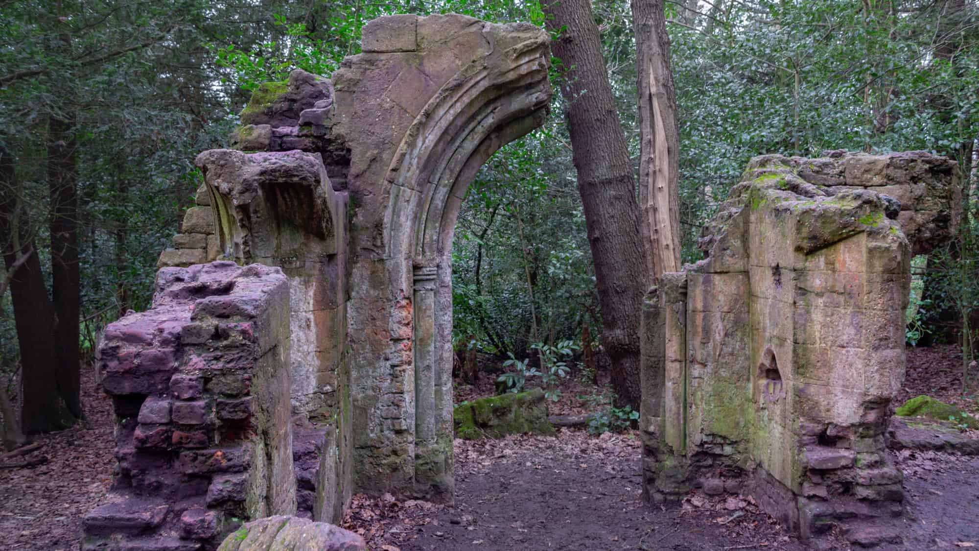 Moss-covered stone ruins with a pointed archway stand in a woodland clearing surrounded by tall trees.