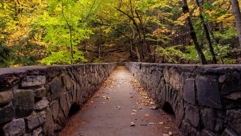 A stone pedestrian bridge leads into a forest filled with golden and green autumn leaves.