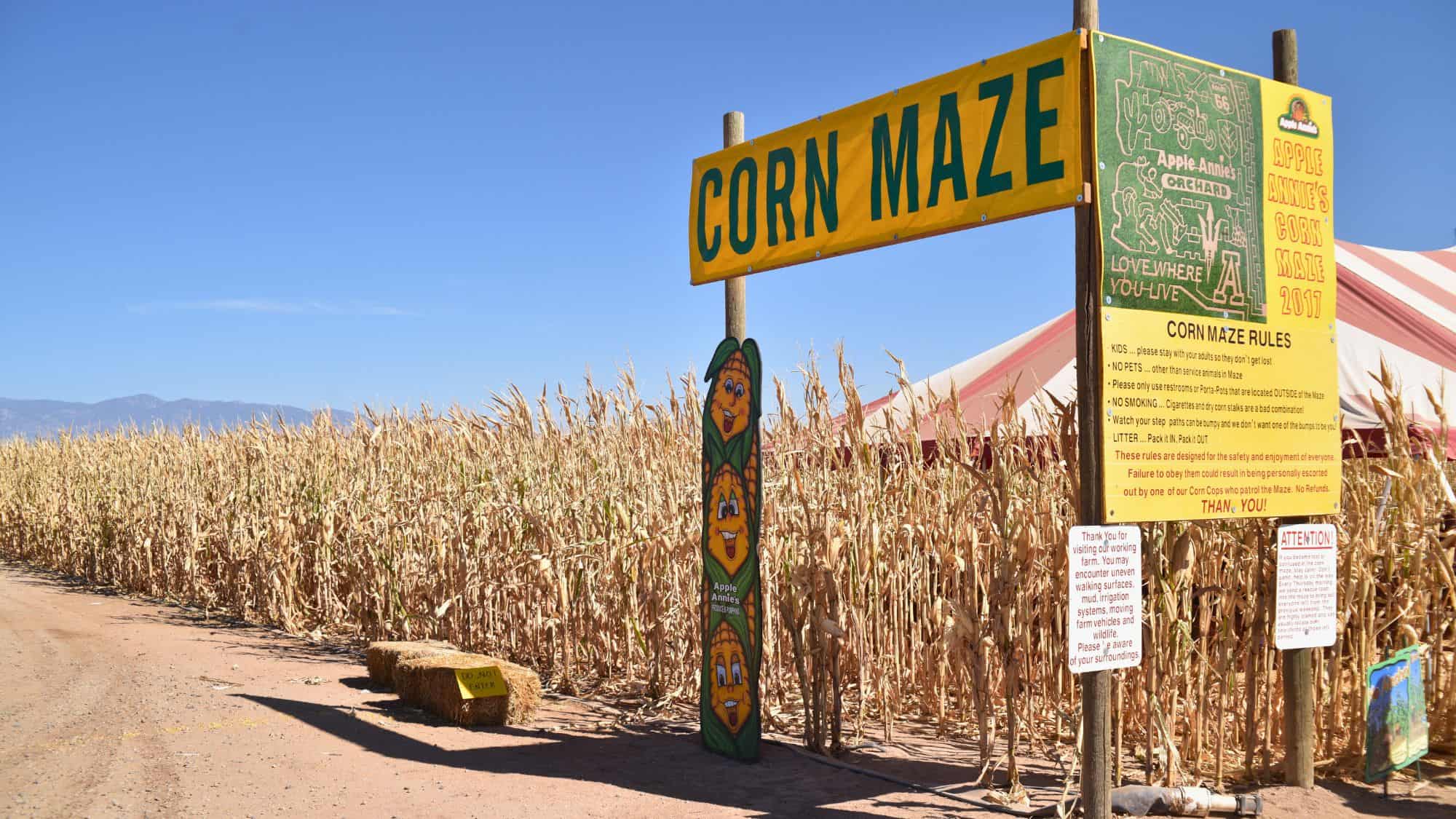A bright yellow sign reading “Corn Maze” marks the entrance to Apple Annie’s 2017 corn maze, with posted rules and cartoon corn characters next to towering dry stalks.