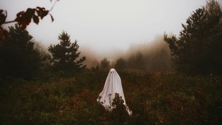 A lone figure dressed as a classic white-sheet ghost stands still in a foggy, overgrown meadow, surrounded by pine trees and distant cabins.