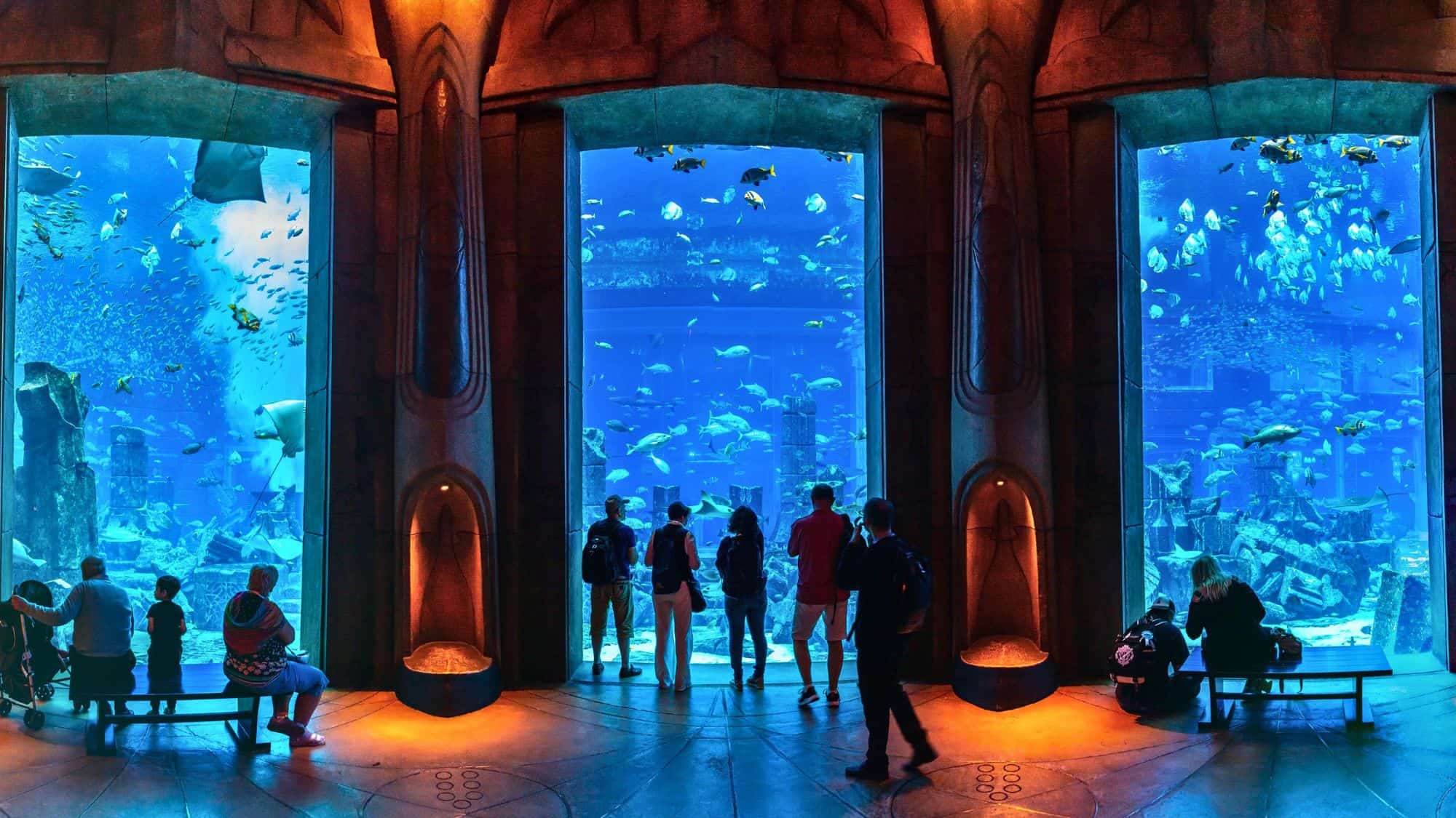 Visitors stand in awe before massive glass windows showcasing a deep blue aquarium filled with tropical fish, rays, and sharks inside Dubai’s Atlantis, The Palm resort.