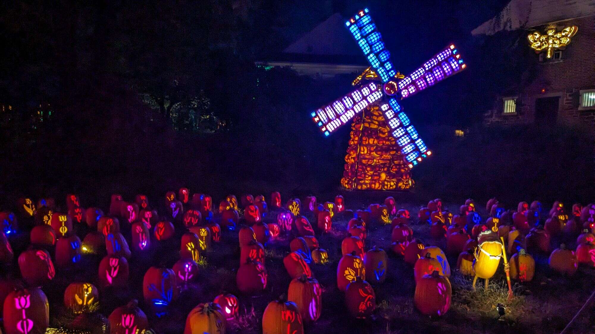 A glowing windmill structure made of illuminated jack-o'-lanterns stands among dozens of intricately carved pumpkins in a colorful nighttime Halloween display.