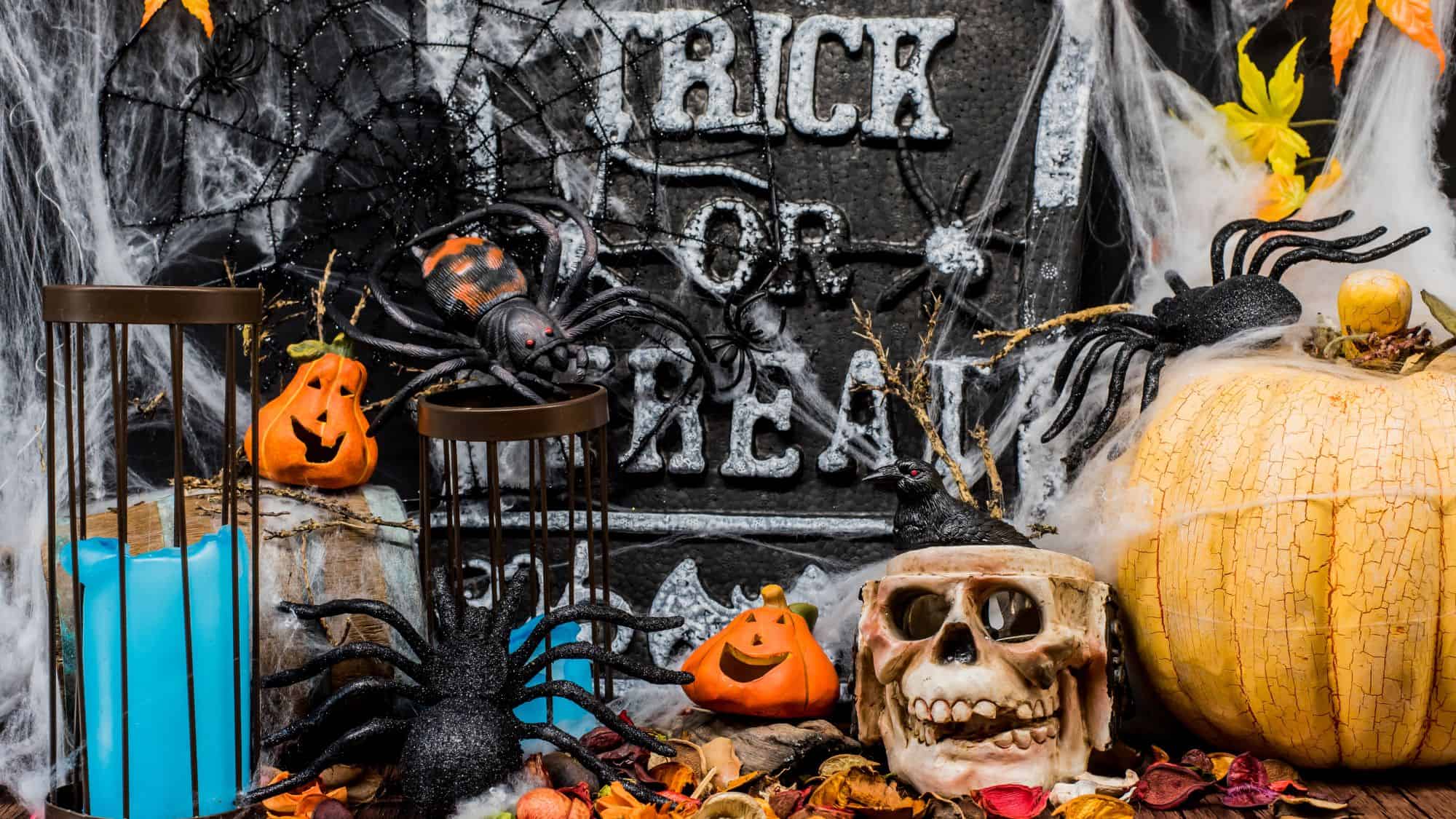 A festive Halloween scene features plastic spiders, jack-o'-lanterns, a human skull, webbing, and a “Trick or Treat” tombstone backdrop surrounded by colorful candles and leaves.