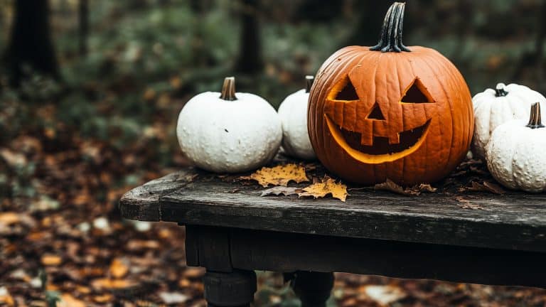 A traditional carved orange jack-o'-lantern sits on a weathered wooden table in the woods, surrounded by small white pumpkins and scattered fall leaves.