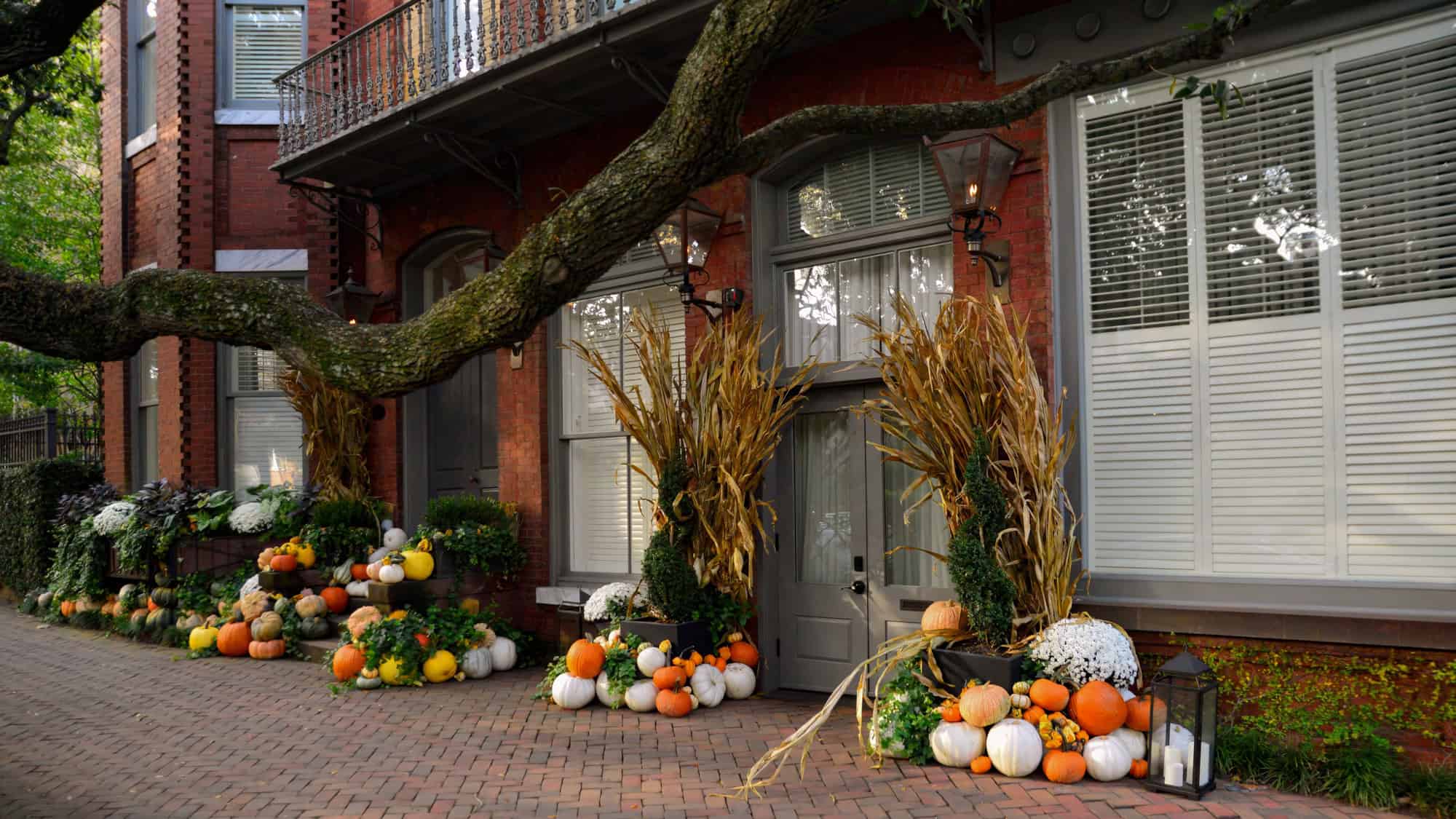A stylish autumn display lines a brick sidewalk, with clusters of white and orange pumpkins, mums, and dried corn stalks arranged in front of a historic red-brick building.