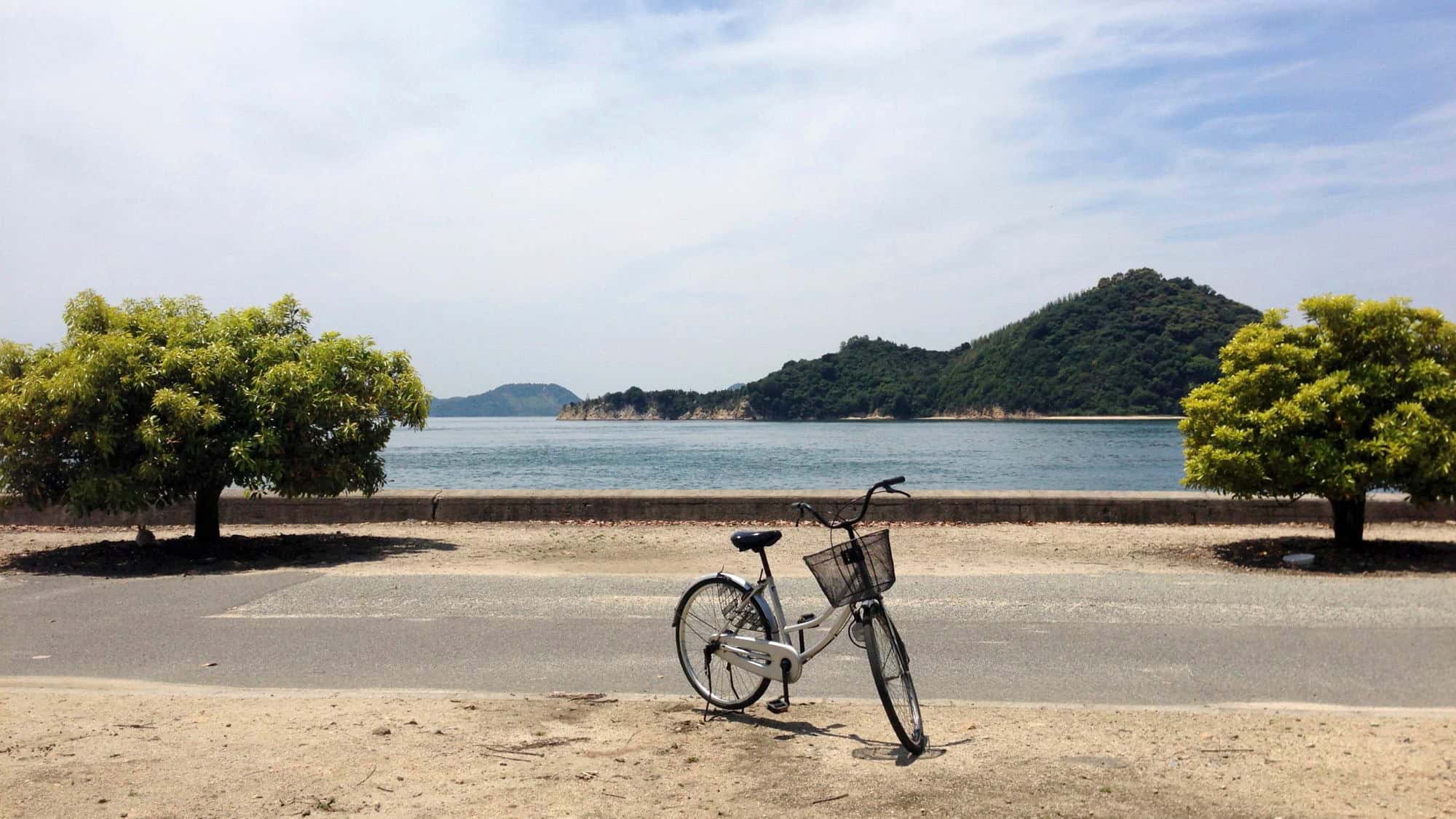 A single bicycle with a front basket rests near a quiet seaside road, framed by two small leafy trees with forested islands visible across the calm water.