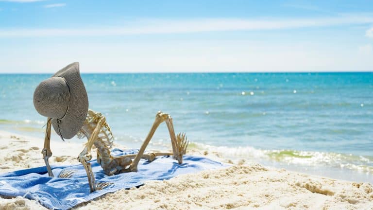 A plastic skeleton wearing a wide-brimmed sunhat lounges on a beach towel facing the ocean, humorously posed as if sunbathing on a sunny shore.