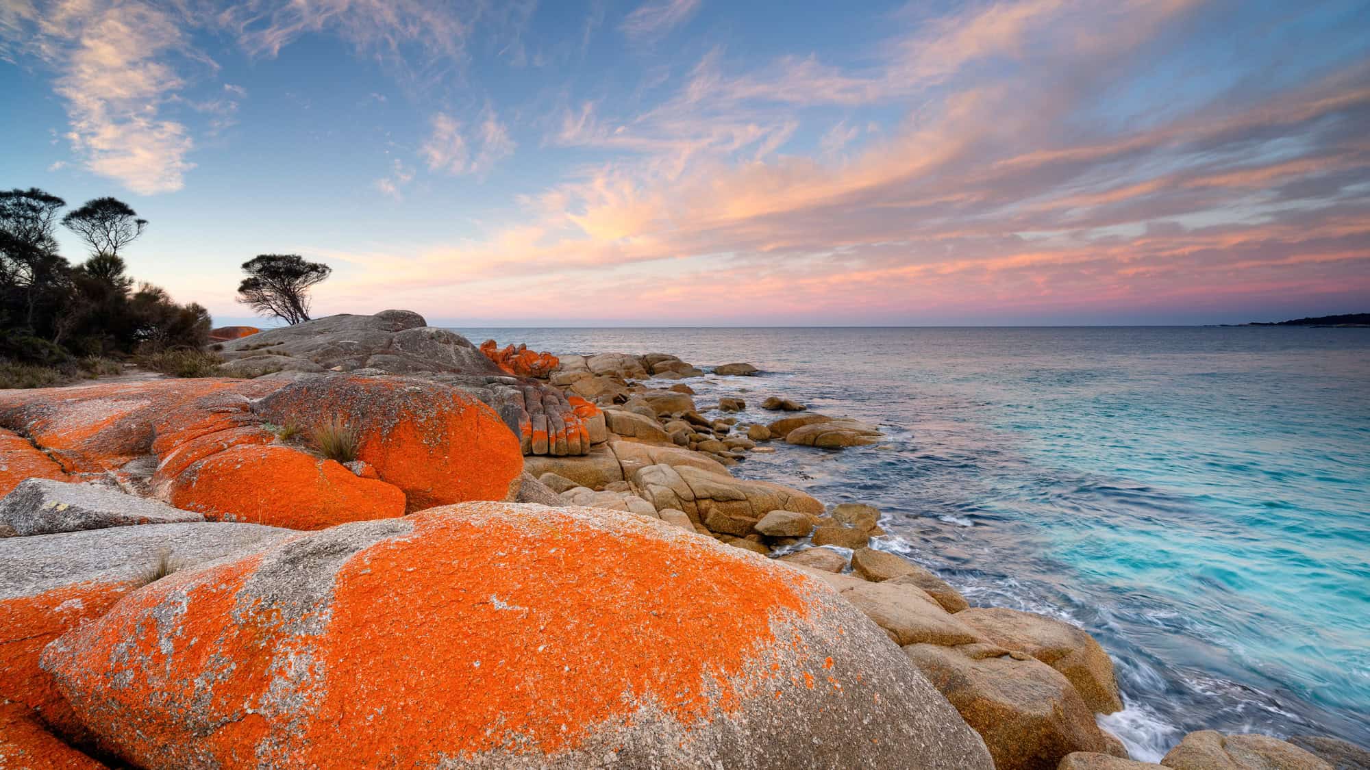 Bright orange lichen-covered granite boulders line the rugged shore of Tasmania’s Bay of Fires, with soft sunset light reflecting off the turquoise sea.